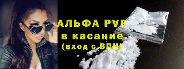 индика Беломорск