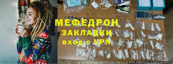индика Беломорск