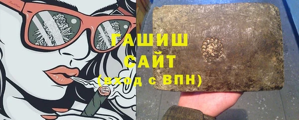 индика Беломорск