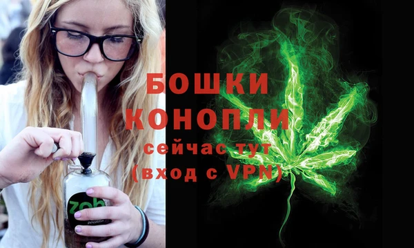 PSILOCYBIN Белоозёрский