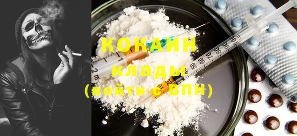 индика Беломорск