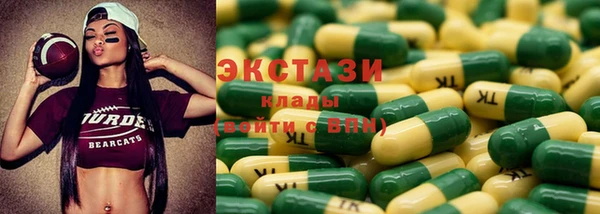 индика Беломорск