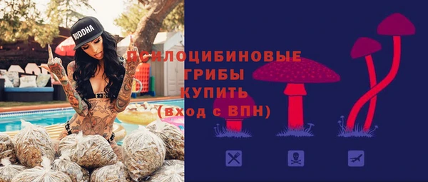PSILOCYBIN Белоозёрский