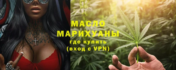 индика Беломорск