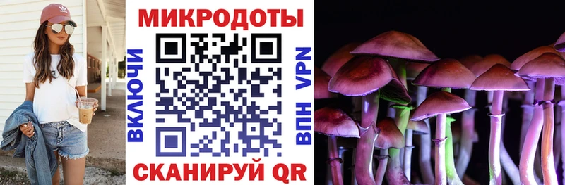 OMG сайт  Рассказово  Псилоцибиновые грибы Psilocybine cubensis 